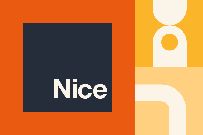 Nice Logo