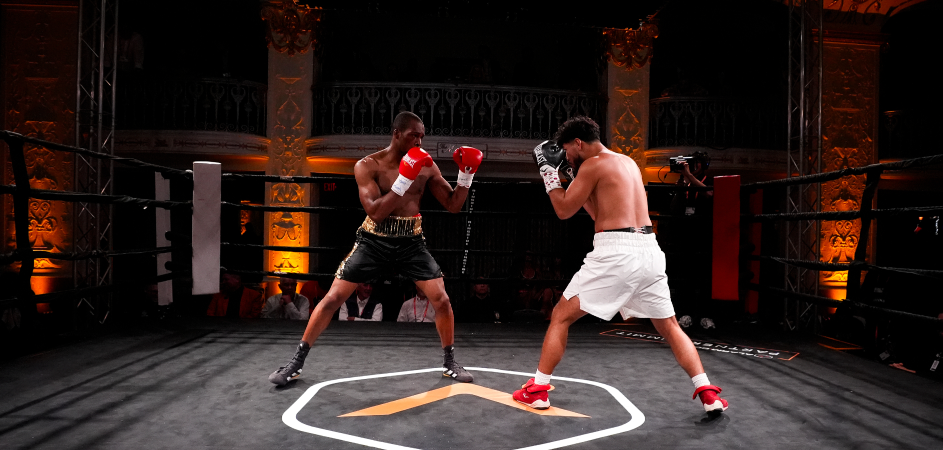 Fight Night 